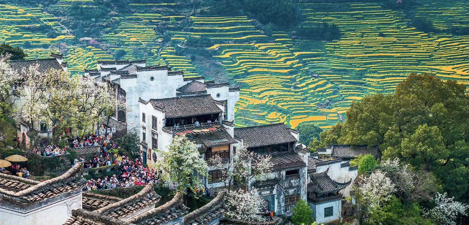 Hero Background Image